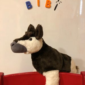 Bibi, Aide à l'intégration